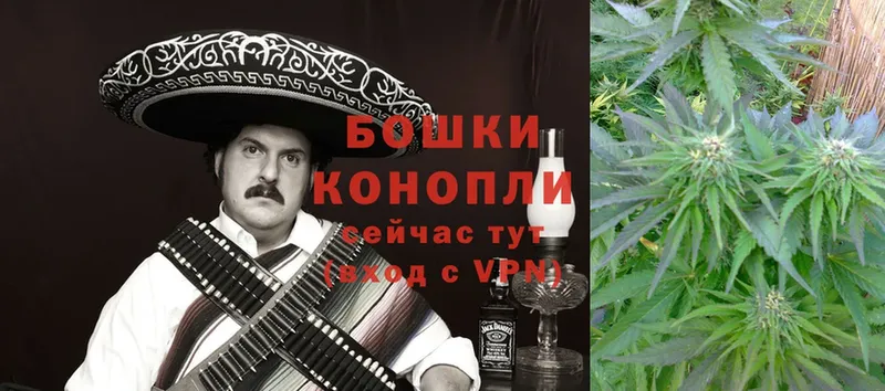 где купить наркотик  Зеленоградск  KRAKEN зеркало  Канабис Ganja 